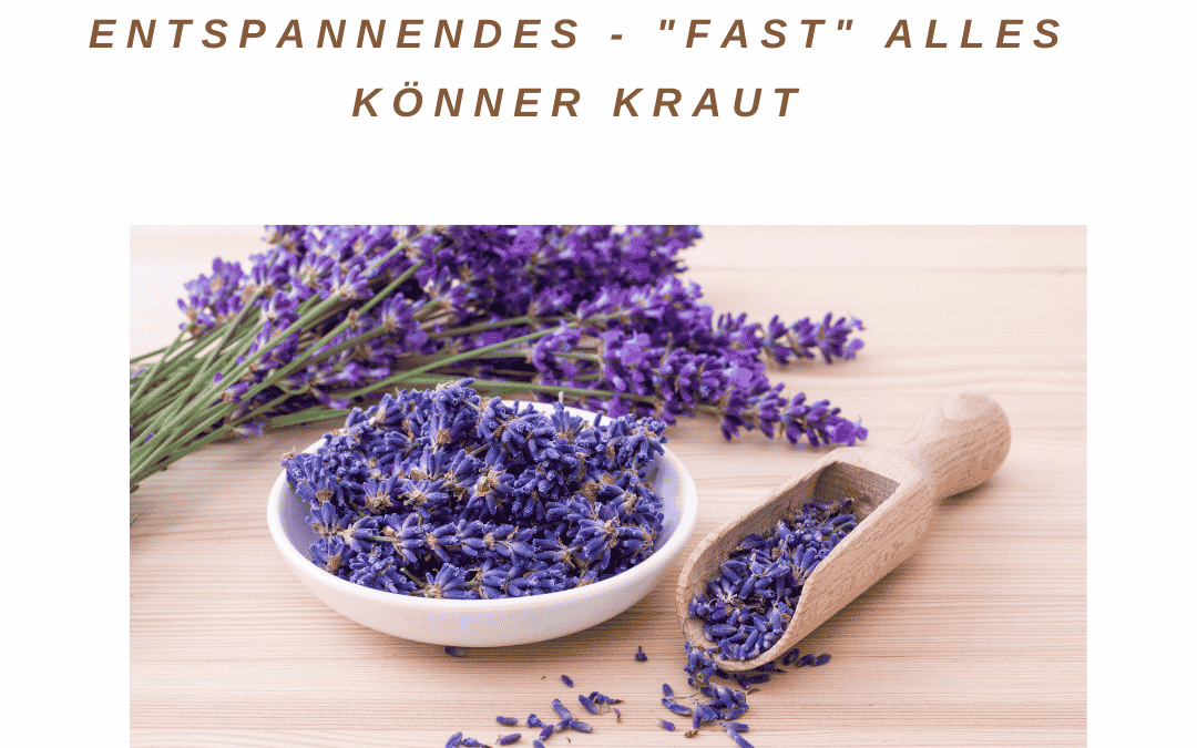 Lavendel