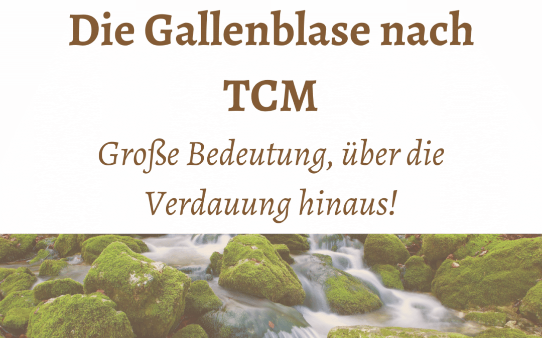 Die Gallenblase nach TCM
